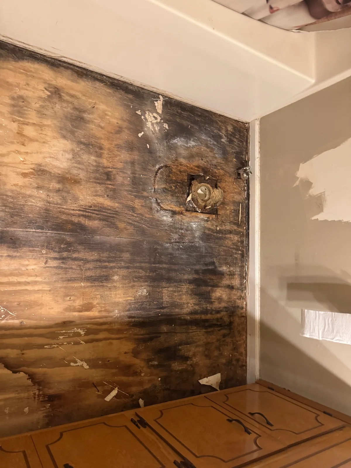 Wall beside a tub stripped back to bare plywood that is stained black and brown from long-term water damage, with a capped valve stub coming through it and a run of old wood cabinets below.