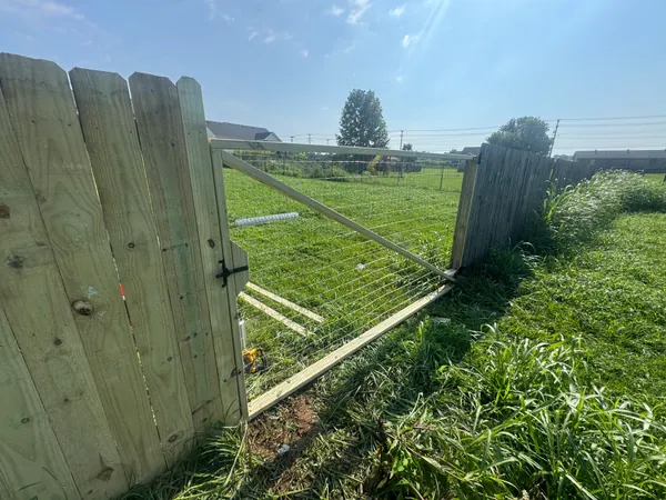 Leaning wood fence with a sagging gate, boards pulled loose and the run visibly out of plumb, open field behind it.