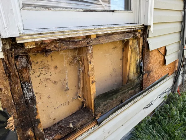 Exterior wall opened up under a window with the siding off, showing studs and a sill plate gone black with rot, crumbling sheathing and cobwebs in the open stud bays.