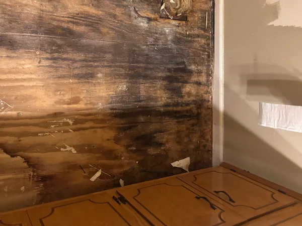 Wall beside a tub stripped back to bare plywood that is stained black and brown from long-term water damage, with a capped valve stub coming through it and a run of old wood cabinets below.